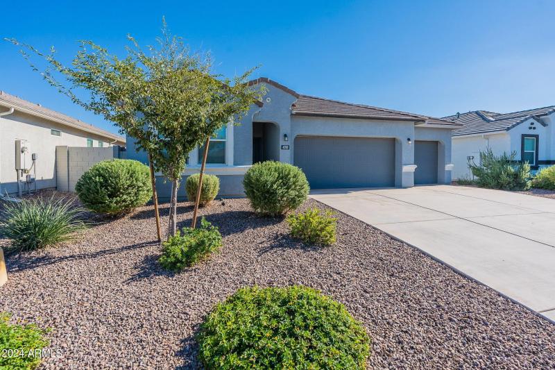 34-web-or-mls-Basil-3