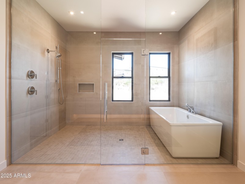Grand Shower and Soak Tub