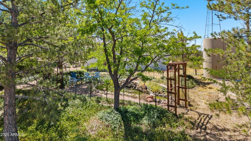 Aerial View Koi Pond