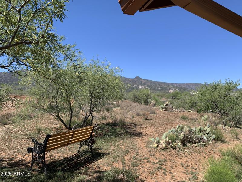 Backyard to Prescott Forest