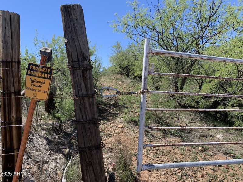 Access to Forest land