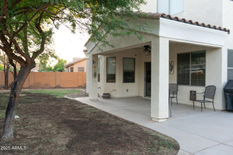 Back Patio