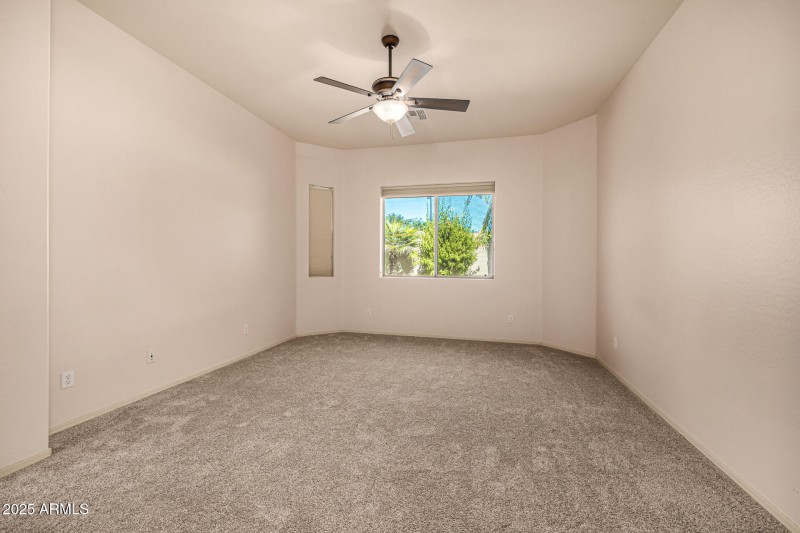 Carpet new 8/2025