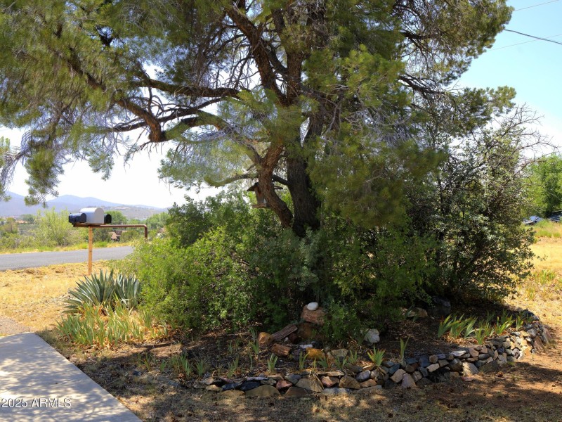 Elaine_EXT_F_TREE_result