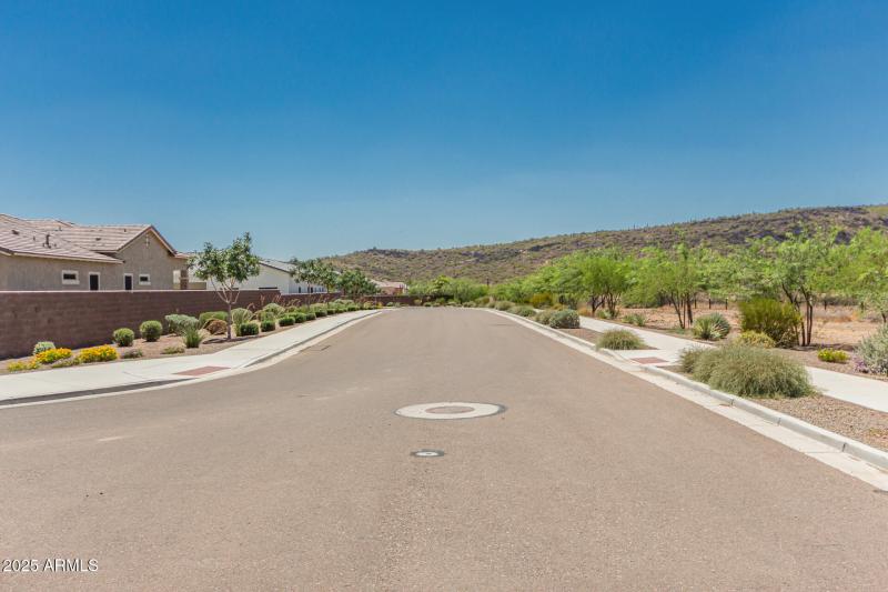 2 - White Feather 3816