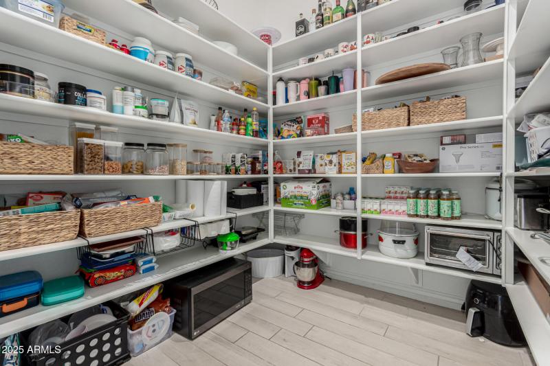 19 - White Feather 3816