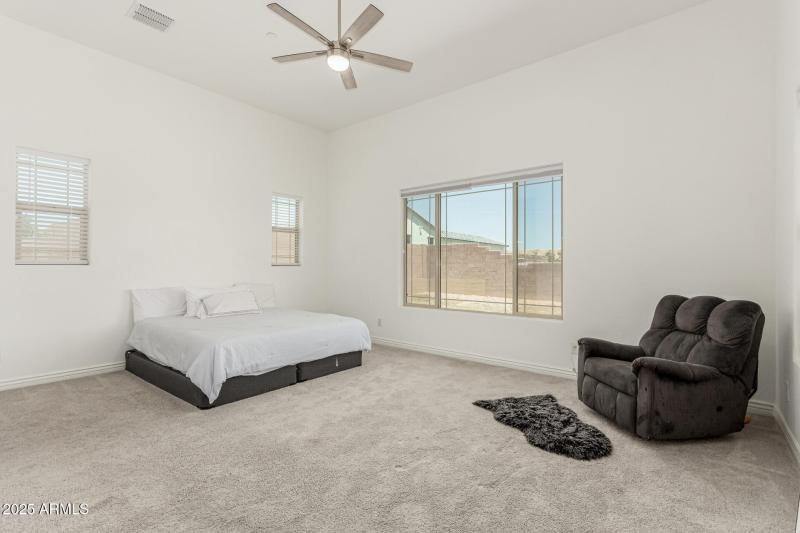 23 - White Feather 3816