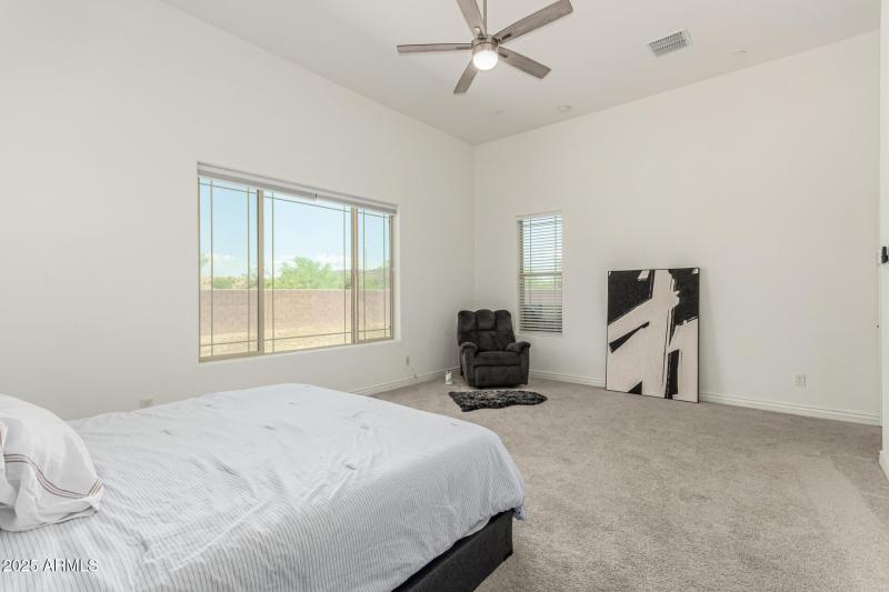 24 - White Feather 3816