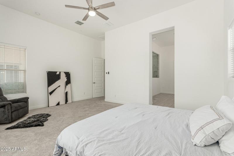 25 - White Feather 3816