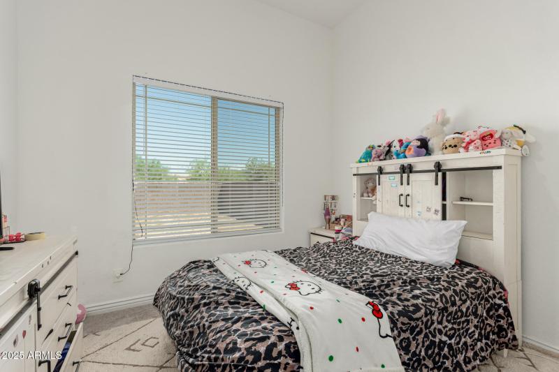 30 - White Feather 3816