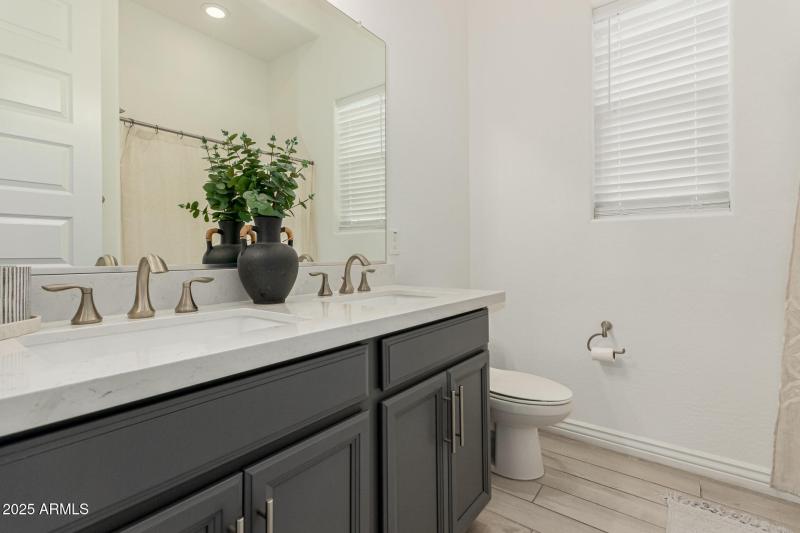 42 - White Feather 3816