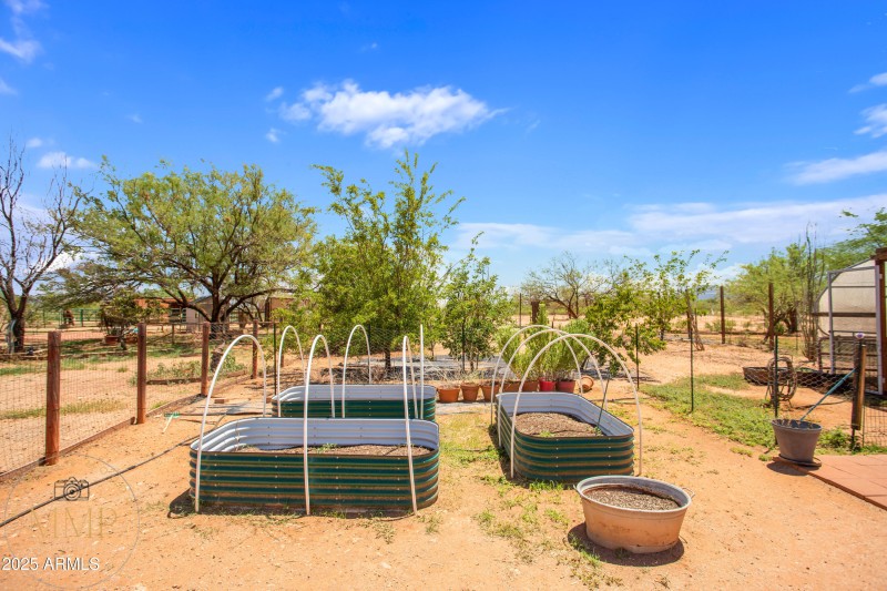 Raised Garden Beds