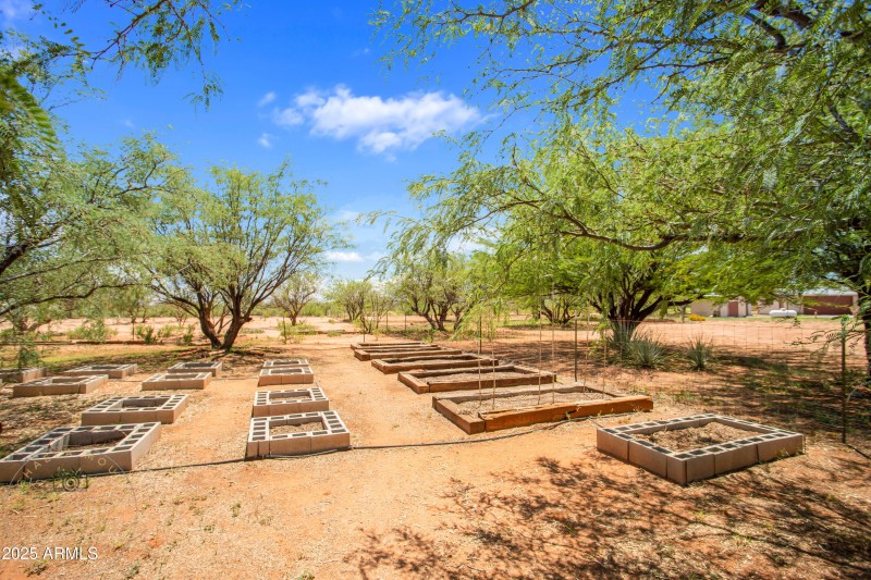 Raised Garden Beds