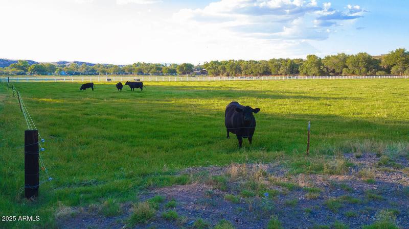 DJI_0284-CRF-PLS-1280