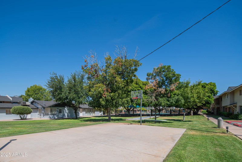 Basketball Court
