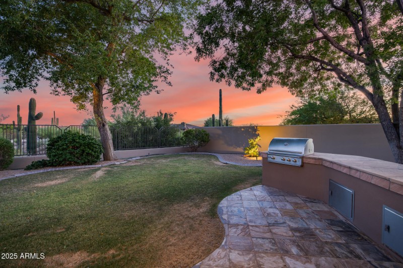 Backyard / Built in BBQ