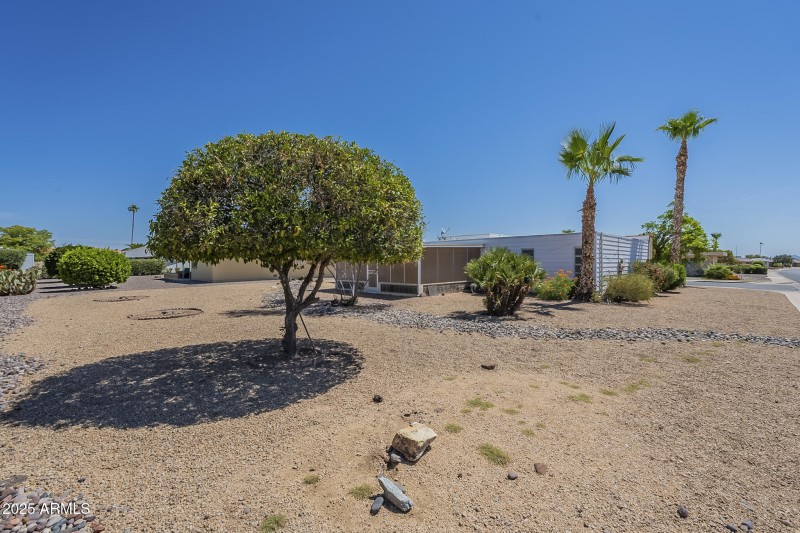 BACK YARD 5