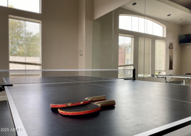 Club House - Ping Pong