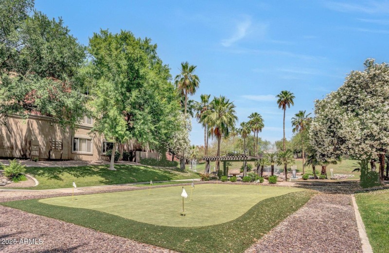 Common Area - Golf