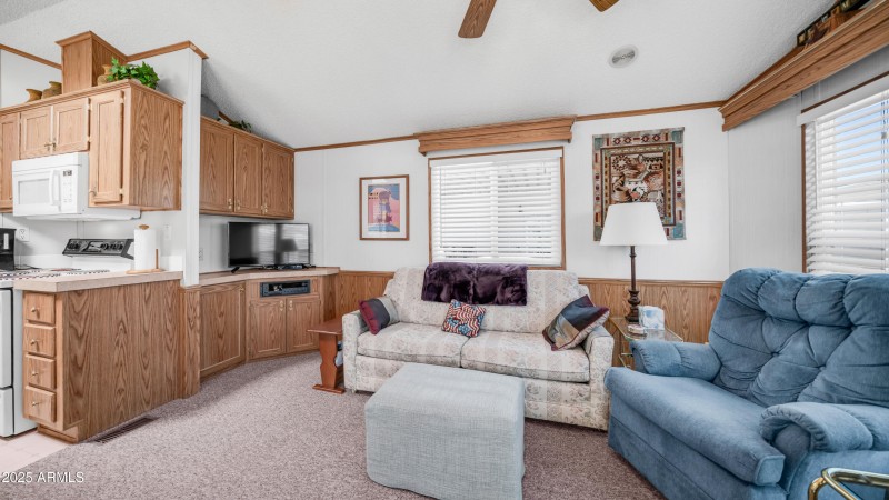 3710 S Goldfield Rd Lot 579 (4)