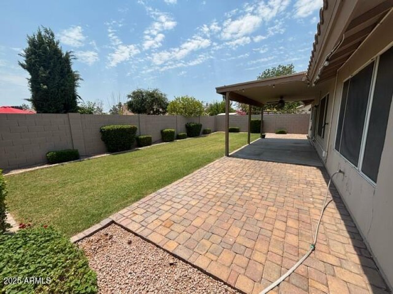 Back Yard