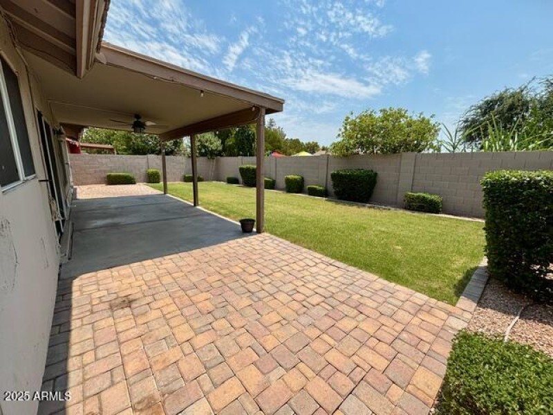 Back Yard