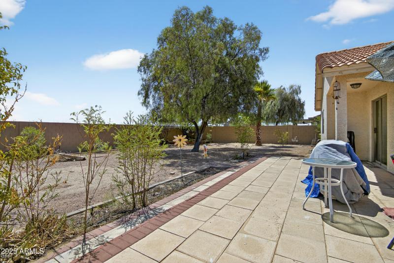 Backyard Patio view