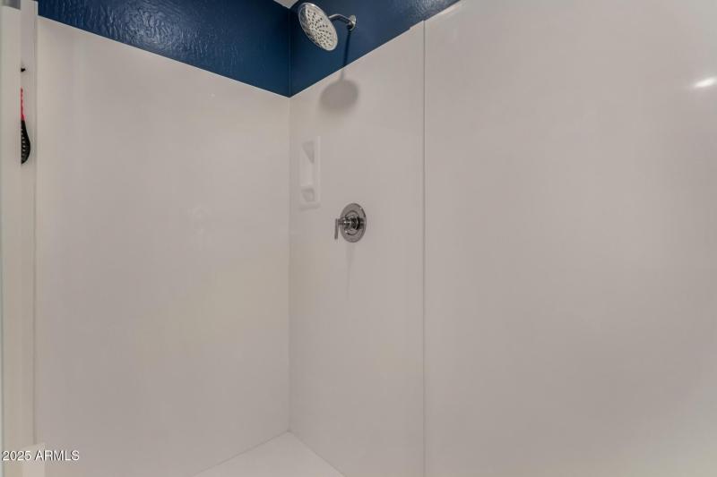 Primary Walk-in Shower