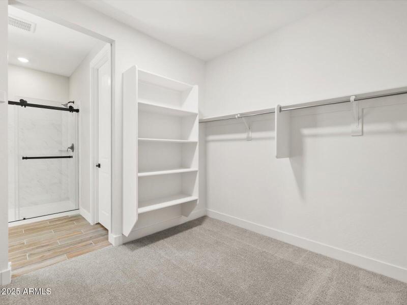 Walk-in Closet