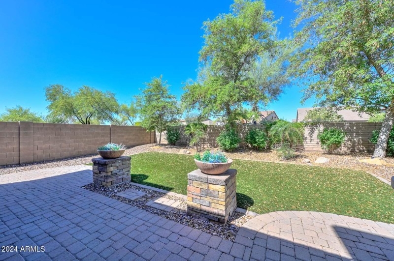 Backyard2