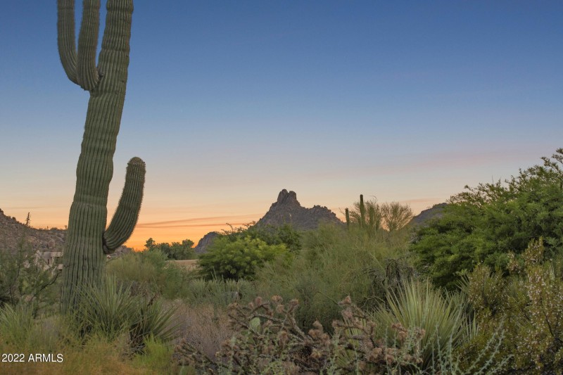 Pinnacle Peak View