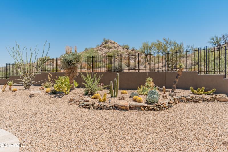 11703 E Buckskin Trail-11