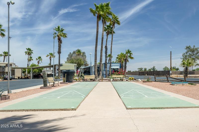 Safari MHP Shuffleboard