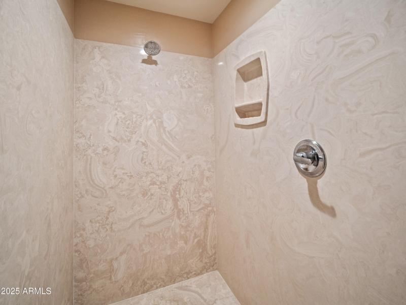 Guest Bathroom Walk in Shower