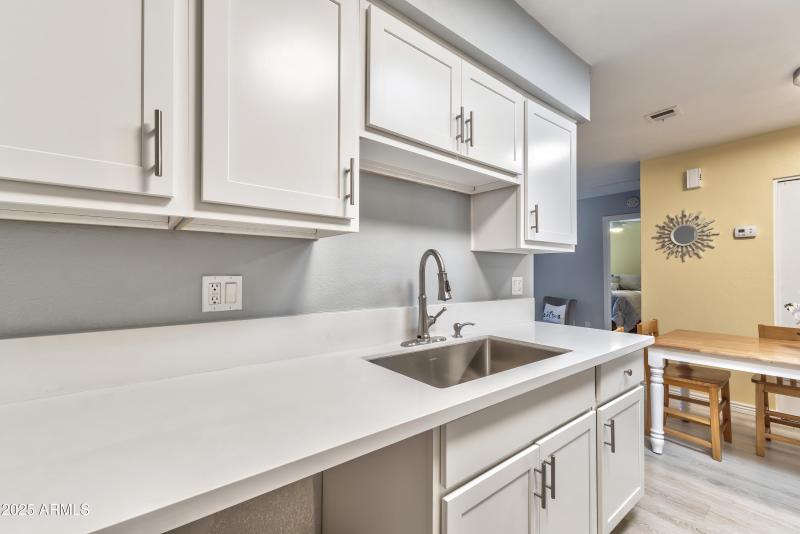 Shoshone Interior - 09