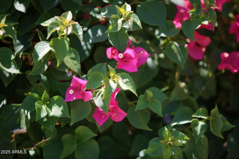 thumbnail_Lisbon Drive (6)