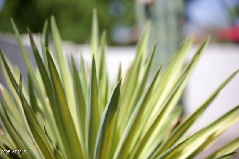 thumbnail_Lisbon Drive (10)