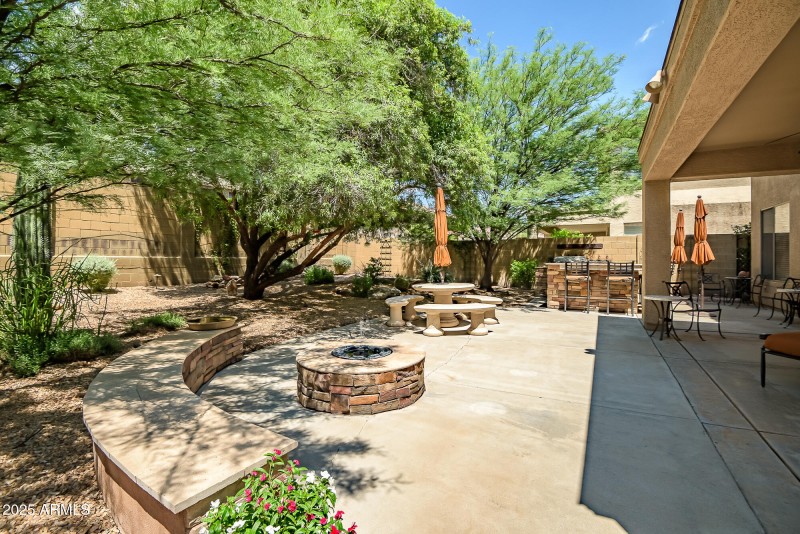 Lush Backyard