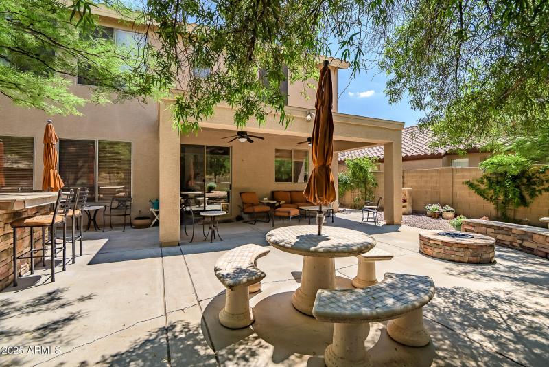 Lush Backyard