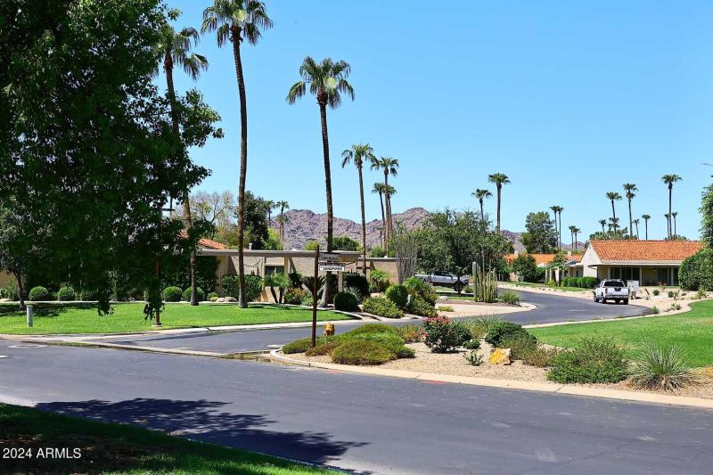 Backyard-Mountain View