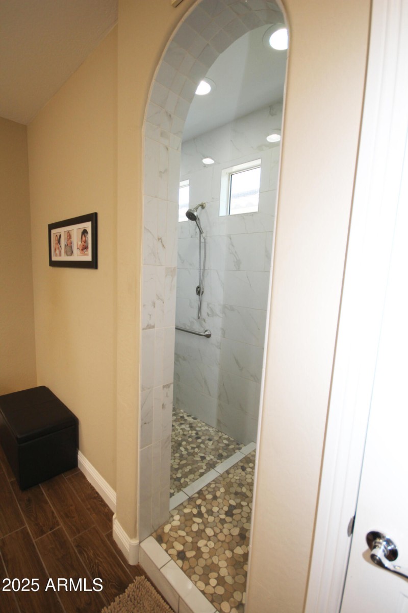 Primary Shower