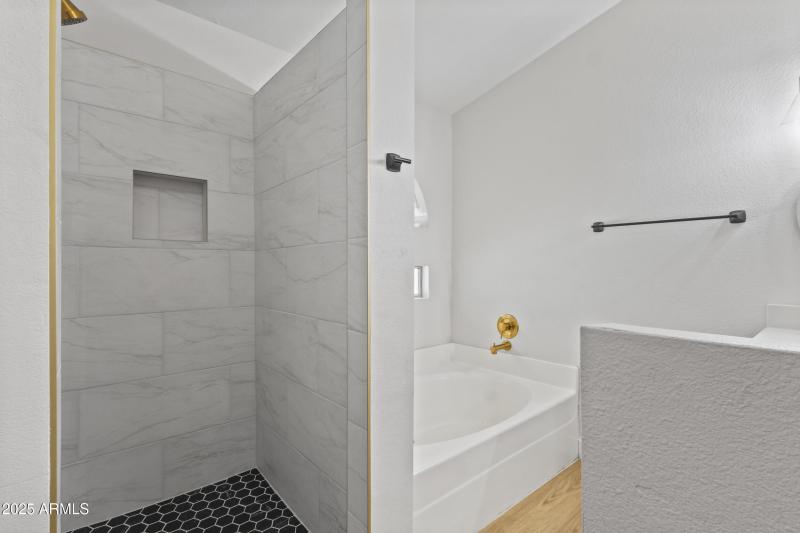Primary shower and tub