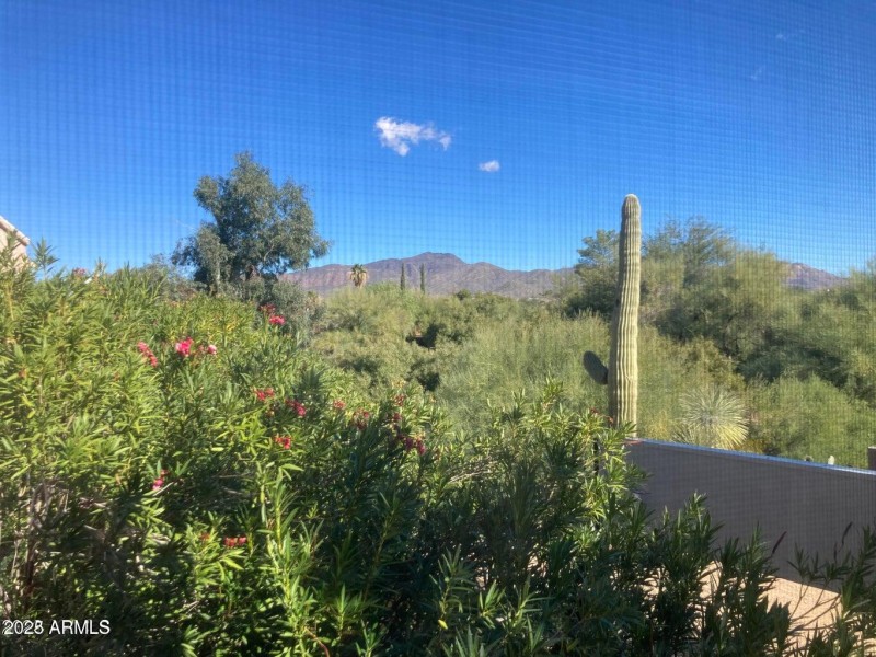 BR view