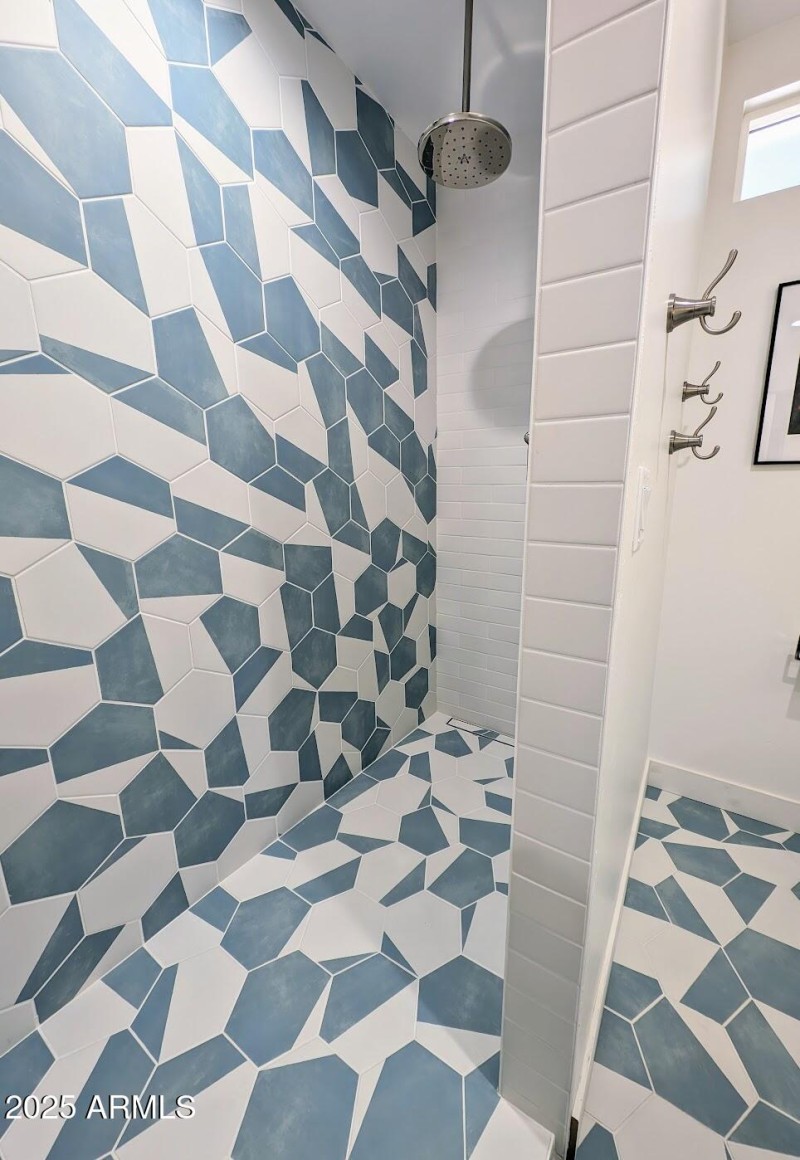 Hall Bath Shower 2