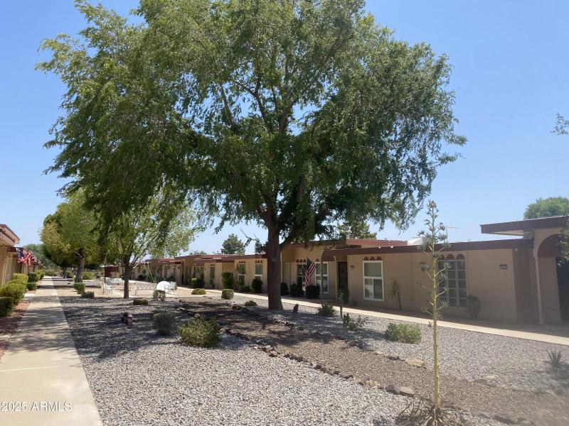 Tree Lined Courtyard