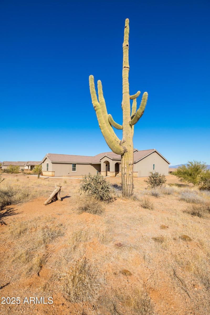 Natural Desert Landscaping