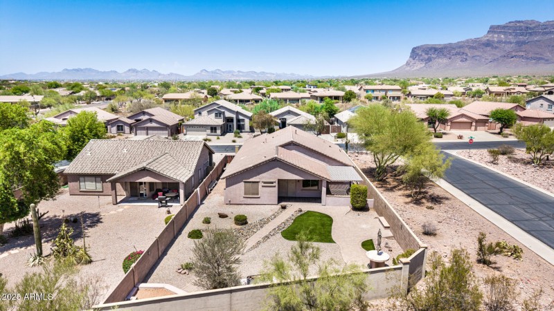 50 - Desert Honeysuckle Drone