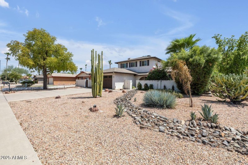 Expansive Desert-Style Landscaping