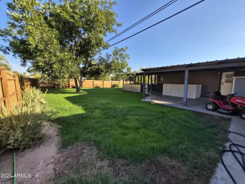 back yard