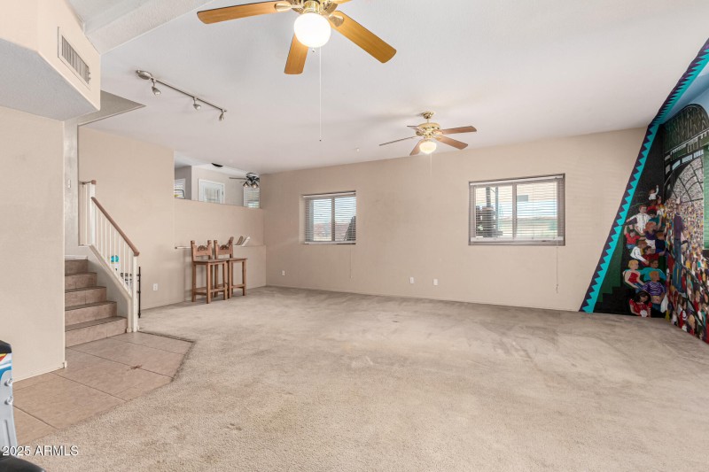 Downstairs Bonus Room